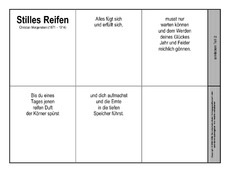 Leporello-Stilles-Reifen-Morgenstern-Blanko.pdf
